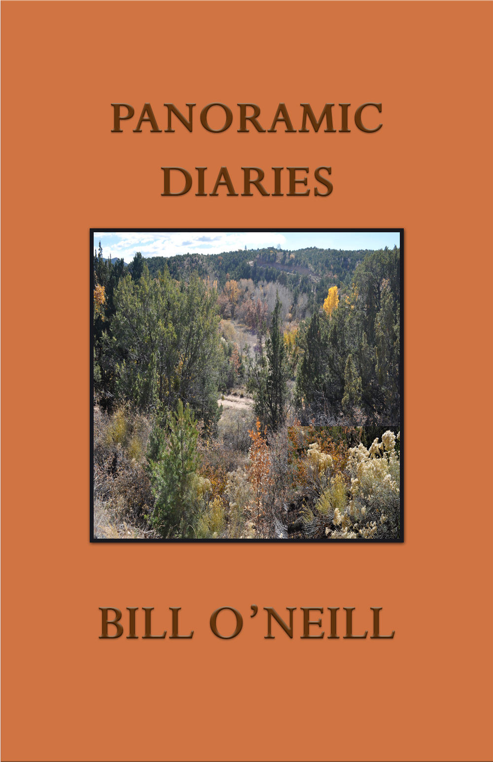 Local authors